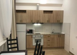 Сдается в аренду квартира студия, 38 м2, Тюмень, улица Хохрякова, 97