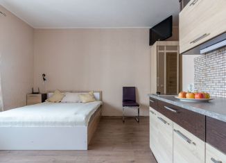 Продажа квартиры студии, 26 м2, Санкт-Петербург, Среднерогатская улица, метро Звёздная