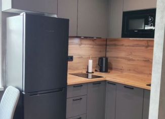 Сдается в аренду 1-комнатная квартира, 32 м2, посёлок Шушары, Новгородский проспект, 2к3