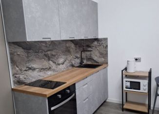 Аренда квартиры студии, 24 м2, Санкт-Петербург, проспект Ветеранов, 206, Красносельский район