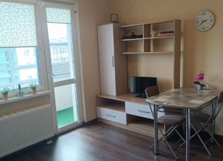Сдаю в аренду квартиру студию, 20 м2, Санкт-Петербург, Пахомовская улица, 26, метро Академическая