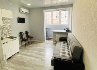 Квартира на продажу студия, 23 м2, Краснодар, улица Западный Обход, 39/2к3