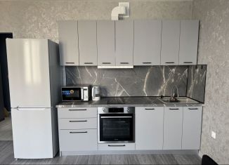 Сдаю квартиру студию, 30 м2, Новороссийск, Мысхакское шоссе, 59