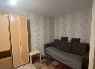 Сдам однокомнатную квартиру, 30 м2, Новосибирск, улица Блюхера, 17, метро Площадь Маркса