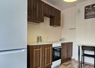 Сдаю в аренду 1-ком. квартиру, 32 м2, Новосибирск, улица Дмитрия Шмонина, 10, метро Площадь Маркса