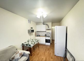 Сдается квартира студия, 20 м2, посёлок Берёзовый, улица Ивана Кулибина, 4, ЖК Прогресс
