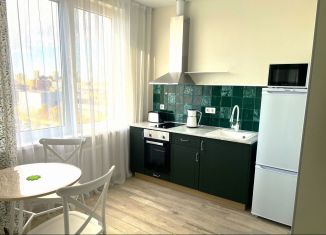 Сдам в аренду квартиру студию, 32 м2, Санкт-Петербург, Измайловский бульвар, 9, Адмиралтейский район