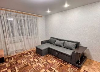 Сдам в аренду 1-ком. квартиру, 34 м2, Нижний Новгород, улица Героя Советского Союза Васильева, 9