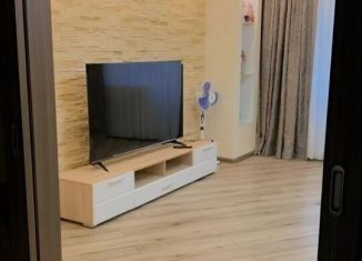 Сдается в аренду 2-ком. квартира, 61 м2, Санкт-Петербург, улица Коммунаров, 190, Красносельский район