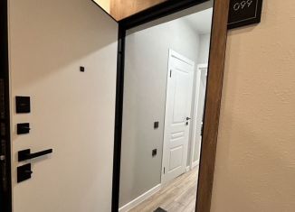 Сдам в аренду квартиру студию, 26 м2, Краснодар, улица Ивана Беличенко, 92к5, Прикубанский округ
