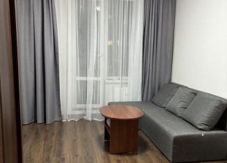 Сдам в аренду квартиру студию, 25 м2, Санкт-Петербург, Арцеуловская аллея, 21, Приморский район