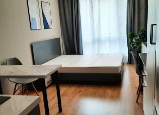 Сдаю в аренду квартиру студию, 22 м2, посёлок Парголово, Толубеевский проезд, 8к2