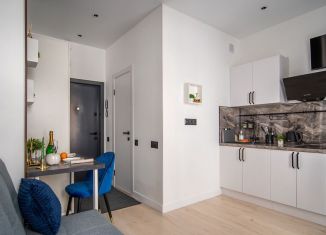 Продажа квартиры студии, 17 м2, Санкт-Петербург, 4-я линия Васильевского острова, 51, Василеостровский район