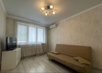 Сдается в аренду однокомнатная квартира, 33 м2, Ростов-на-Дону, переулок Чаленко, 19/2, ЖК Западная Резиденция