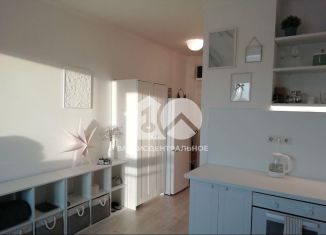 Продам квартиру студию, 20 м2, Новосибирск, метро Площадь Маркса, улица Титова, 252/2