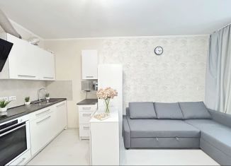 Продается квартира студия, 23 м2, Мурино, Петровский бульвар, 14к2, ЖК Краски Лета