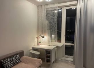 Продам квартиру студию, 28 м2, Санкт-Петербург, Рыбацкий проспект, 18к2, метро Пролетарская