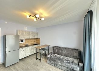 Сдается квартира студия, 31 м2, Мурино, Графская улица, 6к4