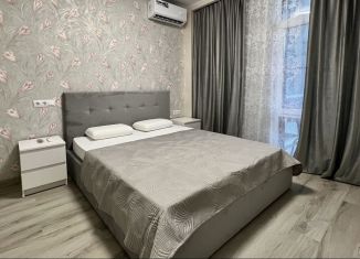 Сдается 2-комнатная квартира, 38 м2, Сочи, Каспийская улица, 68к1