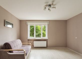 Продам однокомнатную квартиру, 32.6 м2, Санкт-Петербург, проспект Энгельса, 145к3, метро Озерки