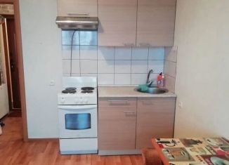 Сдача в аренду квартиры студии, 26 м2, Новосибирск, Рябиновая улица, 10/1, метро Золотая Нива