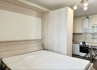 Сдам в аренду квартиру студию, 27 м2, Мурино, Охтинская аллея, 10к1