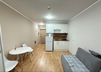 Продается квартира студия, 20 м2, посёлок Парголово, Толубеевский проезд, 8к2