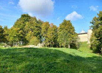 Продам участок, 25 сот., деревня Изборск