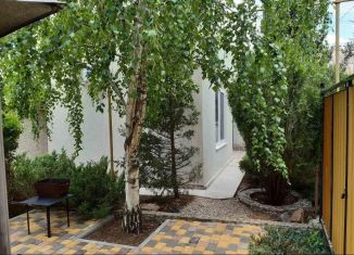 Дом в аренду, 55 м2, поселок городского типа Заозерное, Прибрежная улица