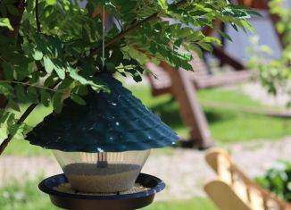 Сдается дом, 80 м2, Республика Алтай, Зелёная улица, 51