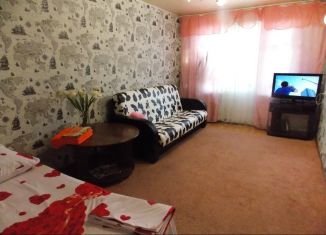 Аренда однокомнатной квартиры, 40 м2, Санкт-Петербург, улица Академика Байкова, 11к2, метро Академическая