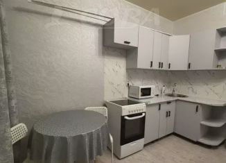 Сдаю квартиру студию, 24 м2, Тюмень, Верхнетарманская улица, 3, ЖК Новый Мыс 2.0