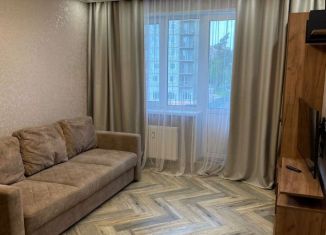 Сдается в аренду 1-комнатная квартира, 35 м2, Кингисепп, улица Воровского, 50к3, ЖК Ямбург