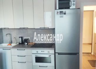 Сдаю квартиру студию, 22 м2, Санкт-Петербург, Пахомовская улица, 26, метро Академическая