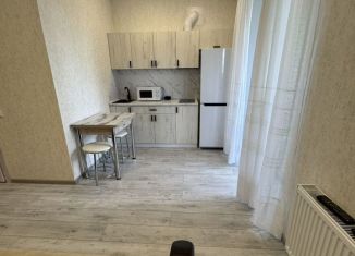 Сдаю в аренду 1-комнатную квартиру, 24 м2, Ульяновск, площадь Горького, 9