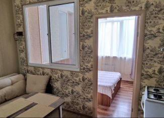 Сдается 1-комнатная квартира, 30 м2, Сочи, Виноградная улица, 188А