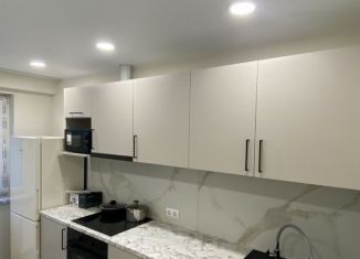 Сдается 2-ком. квартира, 70 м2, село Раздольное, Тепличная улица, 65