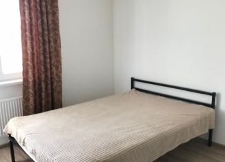 Сдаю в аренду квартиру студию, 27 м2, Нижний Новгород, проспект Героев Донбасса, 4, метро Горьковская