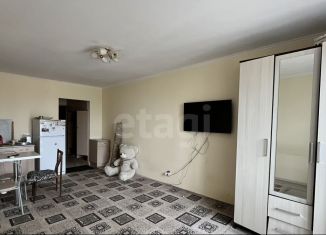 Сдача в аренду квартиры студии, 27 м2, городской посёлок Янино-1, Голландская улица, 6