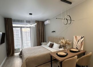 Квартира в аренду студия, 24 м2, Сочи, Ясногорская улица, 16/2к3, микрорайон Бытха