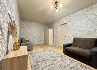 Сдам однокомнатную квартиру, 30.4 м2, Нижний Новгород, улица Героя Шнитникова, 26, 6-й микрорайон Автозавода