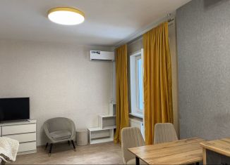 Сдаю квартиру студию, 30 м2, Пермь, улица Василия Татищева, 4, ЖК Арсенал