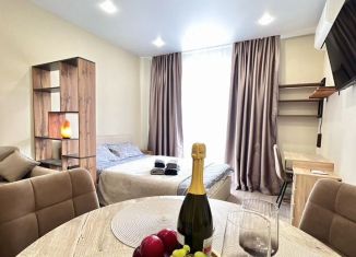 Сдам в аренду квартиру студию, 24 м2, Сочи, улица Искры, 88к3