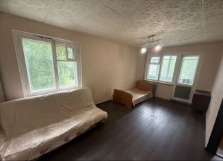 Сдается 1-ком. квартира, 30 м2, Нижний Новгород, Южное шоссе, 20, 6-й микрорайон Автозавода