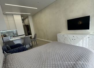 Сдам квартиру студию, 27.1 м2, посёлок городского типа Дагомыс, Батумское шоссе, 28А