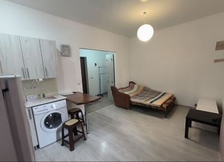 Сдаю в аренду квартиру студию, 26 м2, посёлок городского типа Яблоновский, улица Гагарина, 155/2