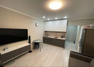 Сдаю в аренду квартиру студию, 30 м2, Тюмень, Ботаническая улица, 1к1