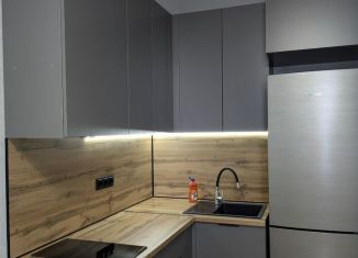 Сдача в аренду 1-комнатной квартиры, 30.6 м2, Краснодар, Воронежская улица, микрорайон Черемушки