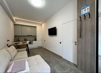 Сдам 1-ком. квартиру, 44 м2, Сочи, переулок Рахманинова, 49/17, микрорайон Новый Сочи