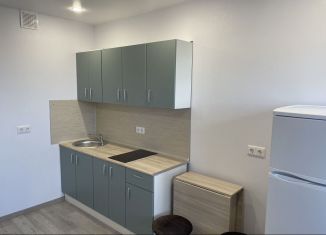 Сдается квартира студия, 21 м2, Тюмень, улица Тимофея Чаркова, 28, ЖК Новый Мыс 3.0